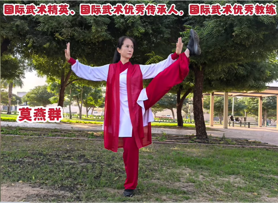 国际武术精英莫燕群
