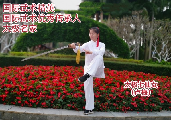 国际武术精英卢梅