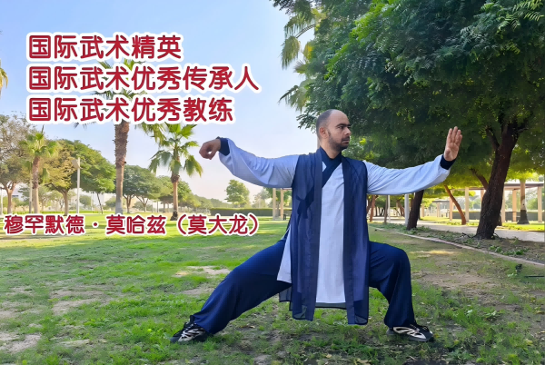 国际武术精英莫大龙